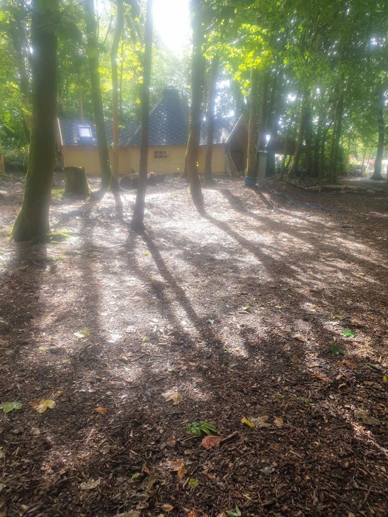 Our hobbit house in the woods
