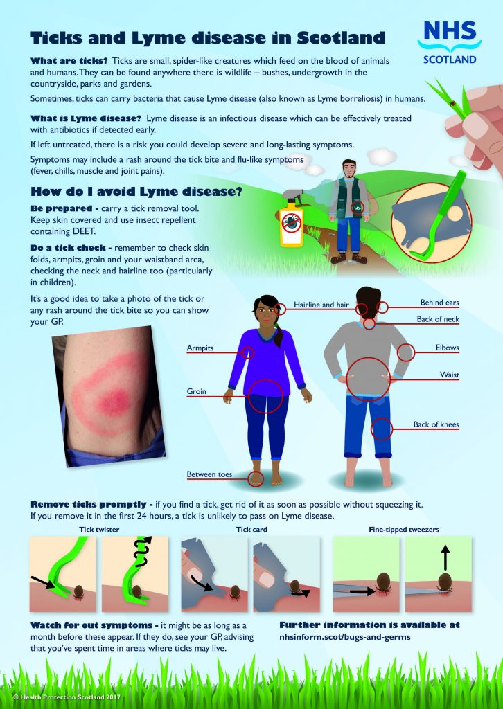 Ticks and Lyme Disease poster